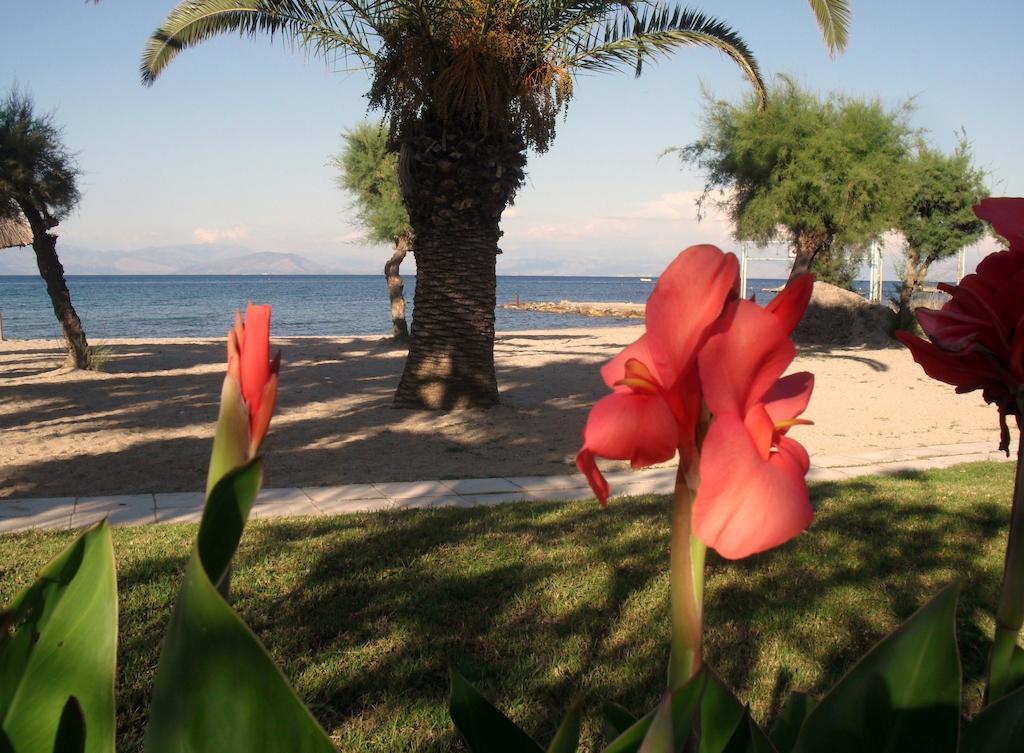 Three Stars Beach Hotel Moraitika Exterior foto